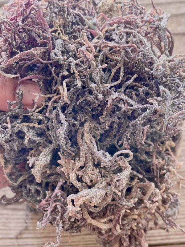 Royal Purple Premium Sun Dried Sea Moss