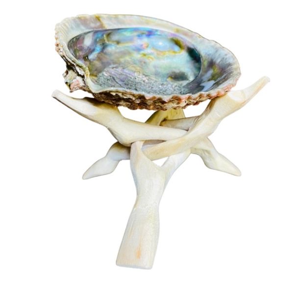 Abalone Shell and Wood Cobra Tripod Stand